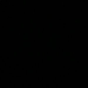 Meet your Posher, Gavin